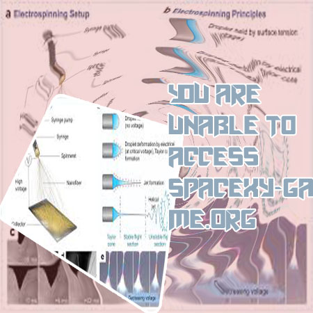 Space xy official site